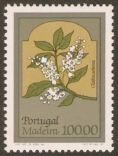Madeira 1981 100E Regional Flowers series. SG193.